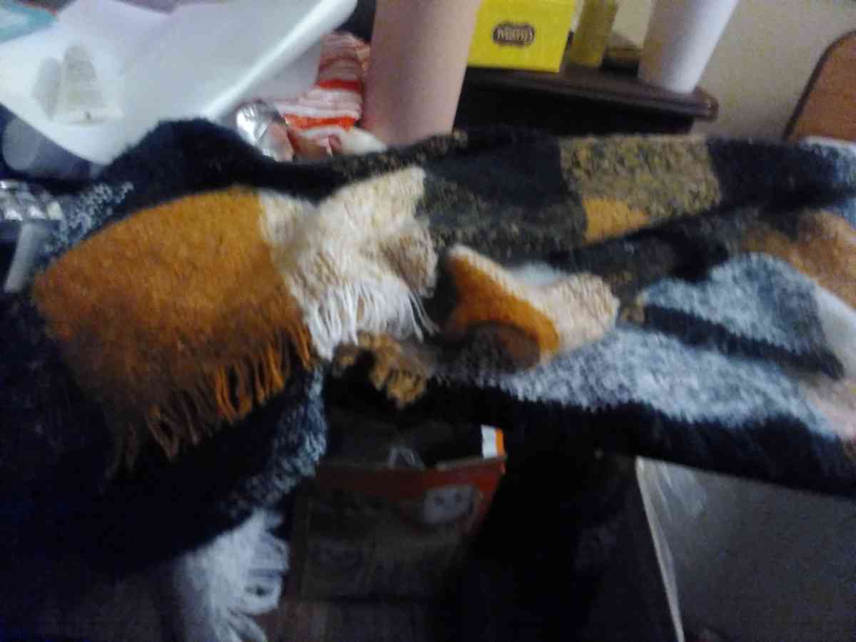 triangle scarf - Aurora, Colorado