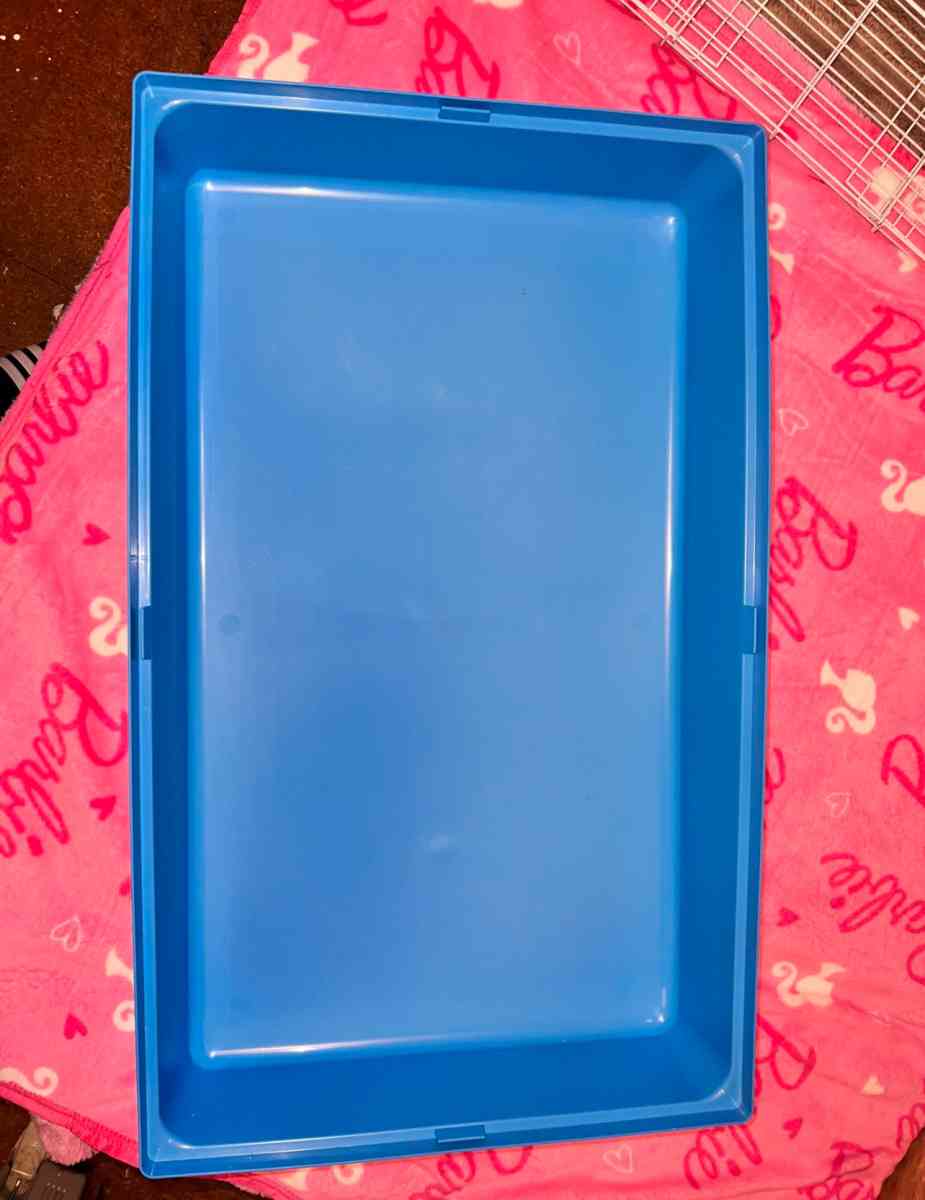 cage needs to go asap - Portland, Oregon - FleaMarketBay