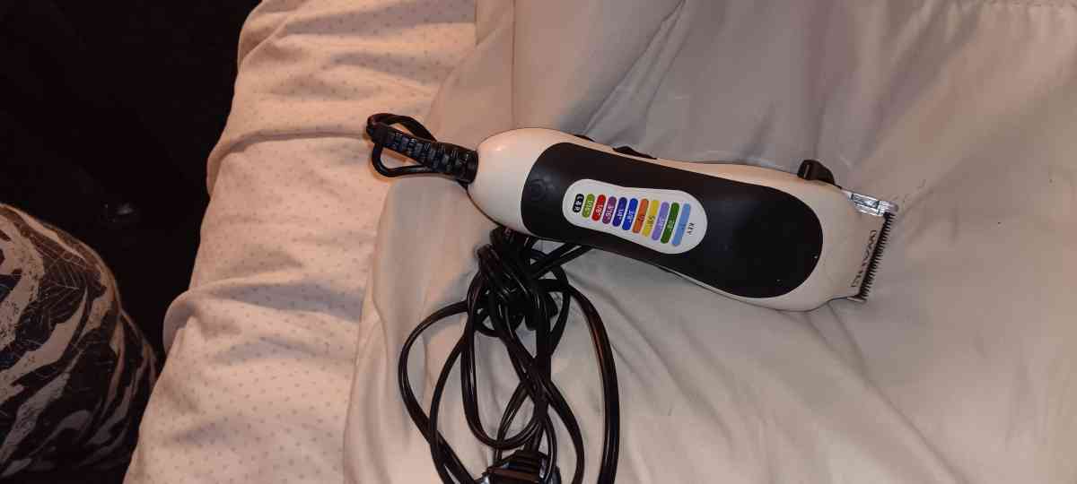 razor one electric the other rechargeable - Knoxville, Tennessee - FleaMarketBay