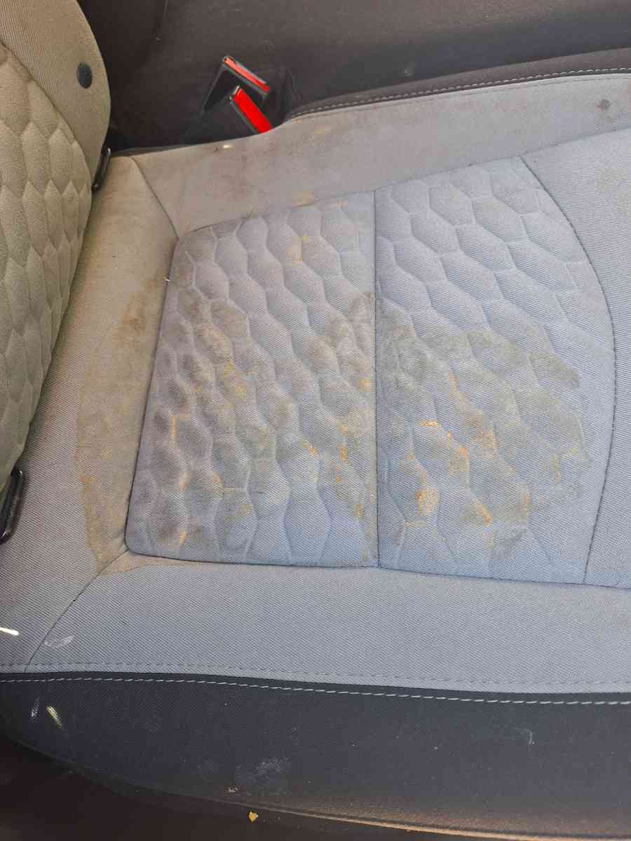 carpet cleaning - Banning, California - FleaMarketBay