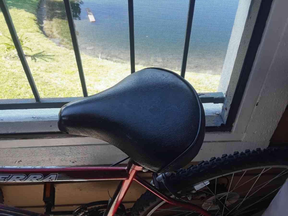 bike seat - Orlando, Florida