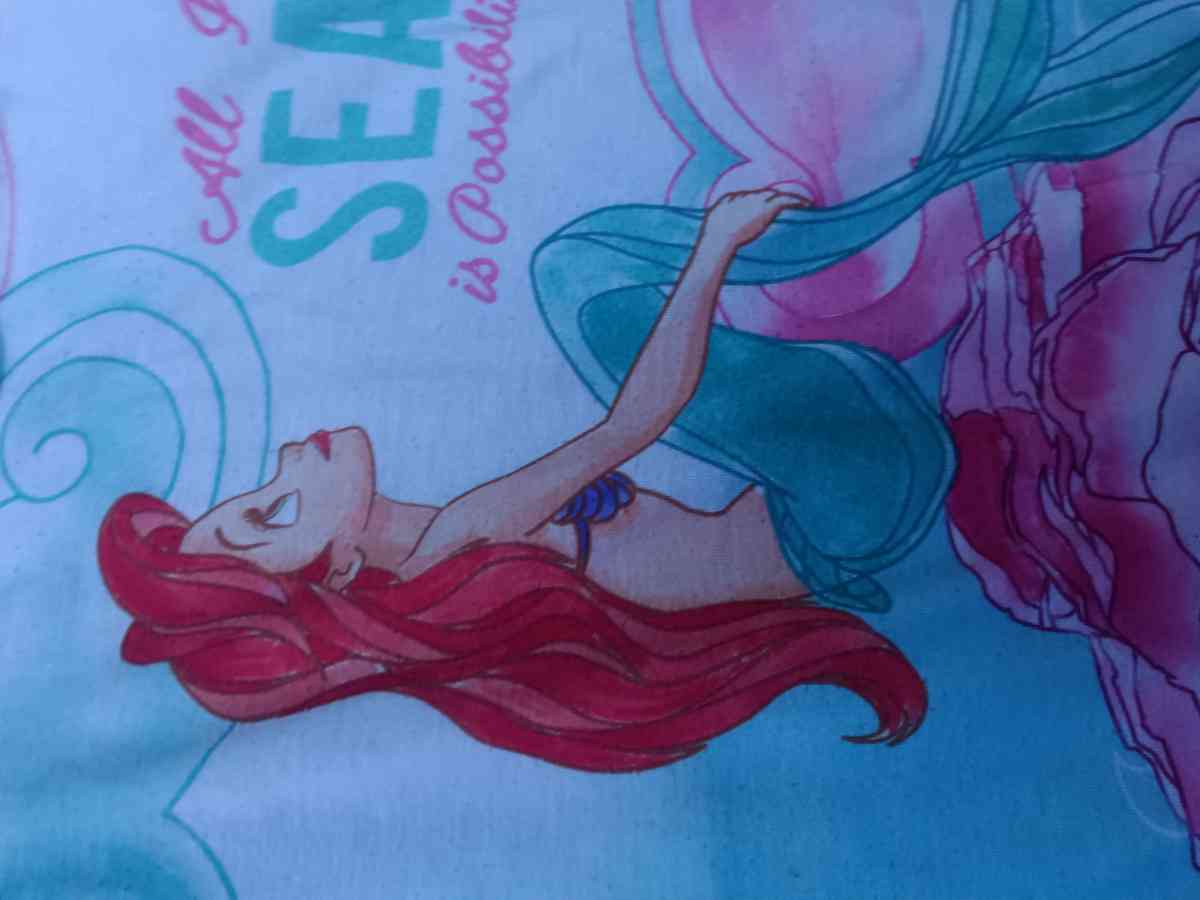 Disney princess pajamas shirt - Winter Park, Florida - FleaMarketBay