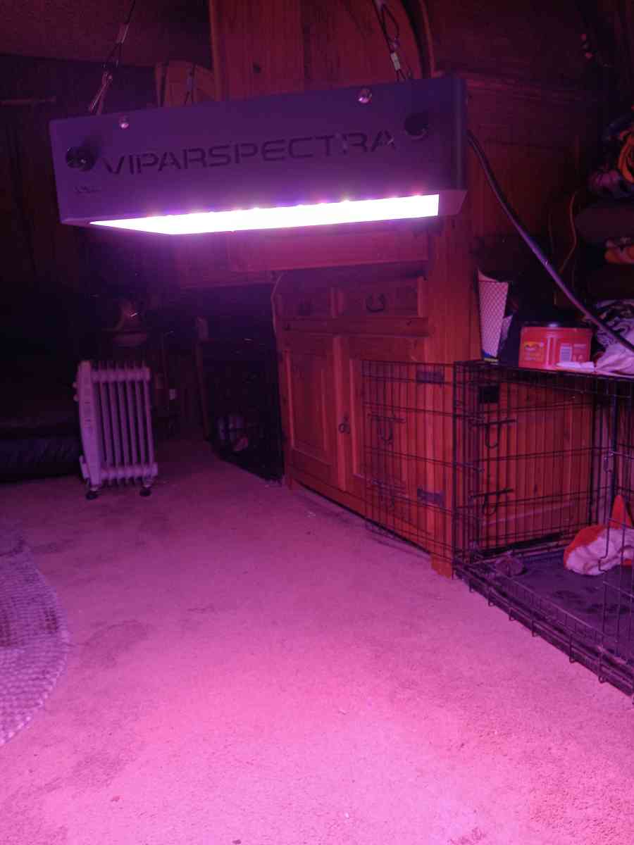indoor grow lights 4 - Wills Point, Texas - FleaMarketBay
