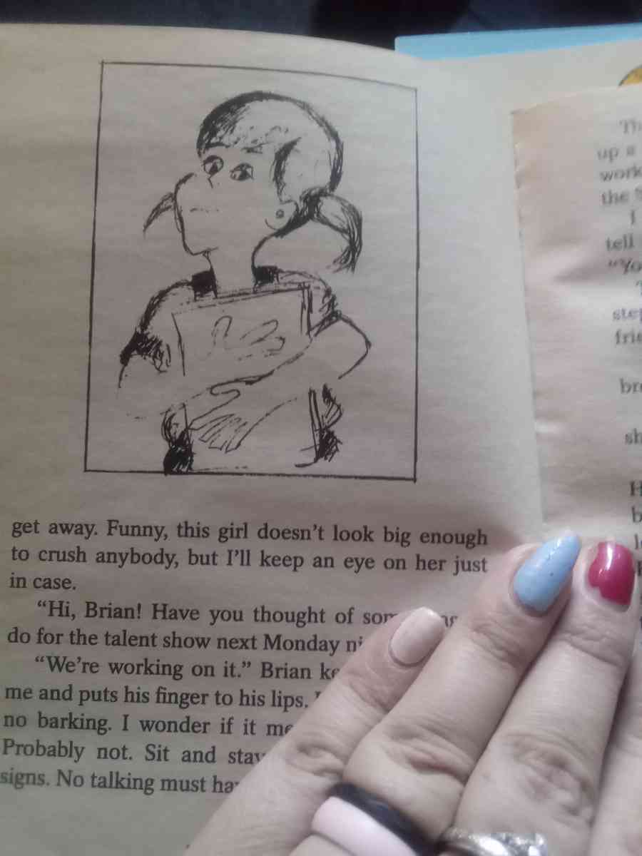 chapter book - Ontario, New York - FleaMarketBay