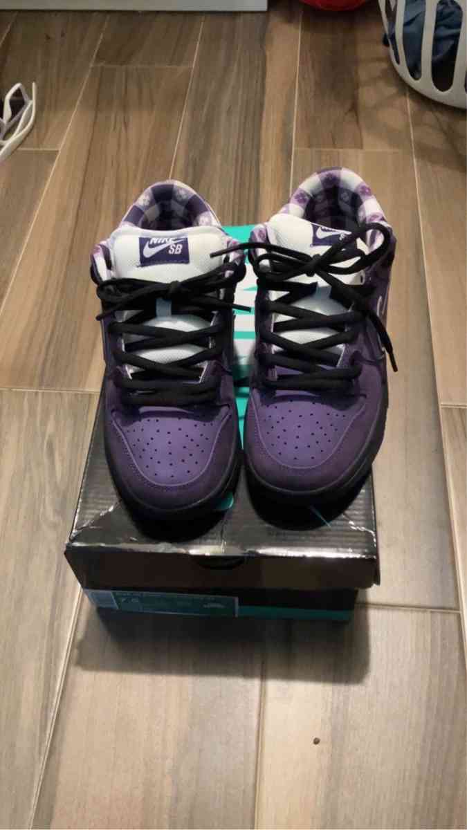 Purple Lobster Sb 7 - Dickinson, Texas - FleaMarketBay