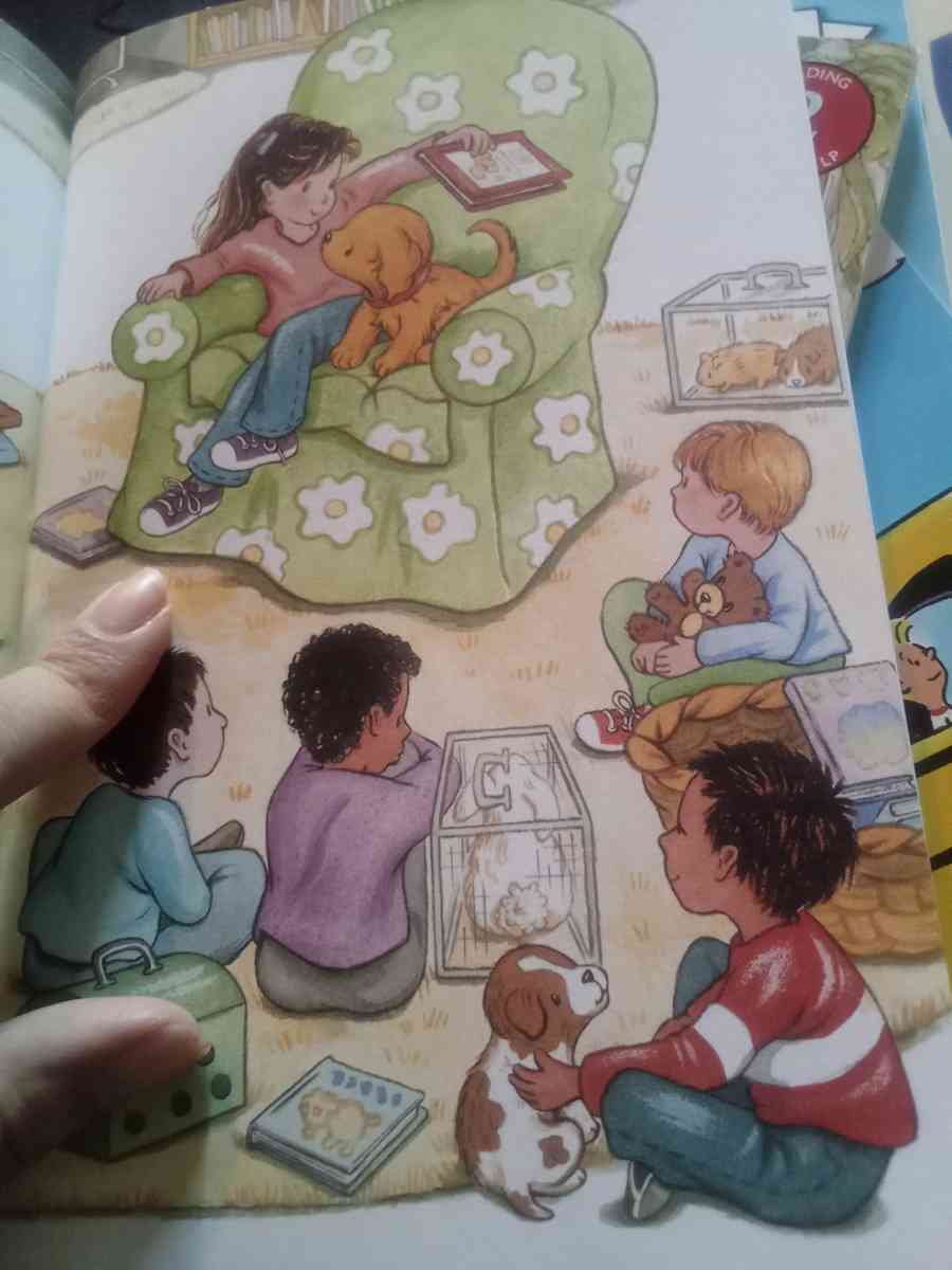 book my first book - Ontario, New York - FleaMarketBay