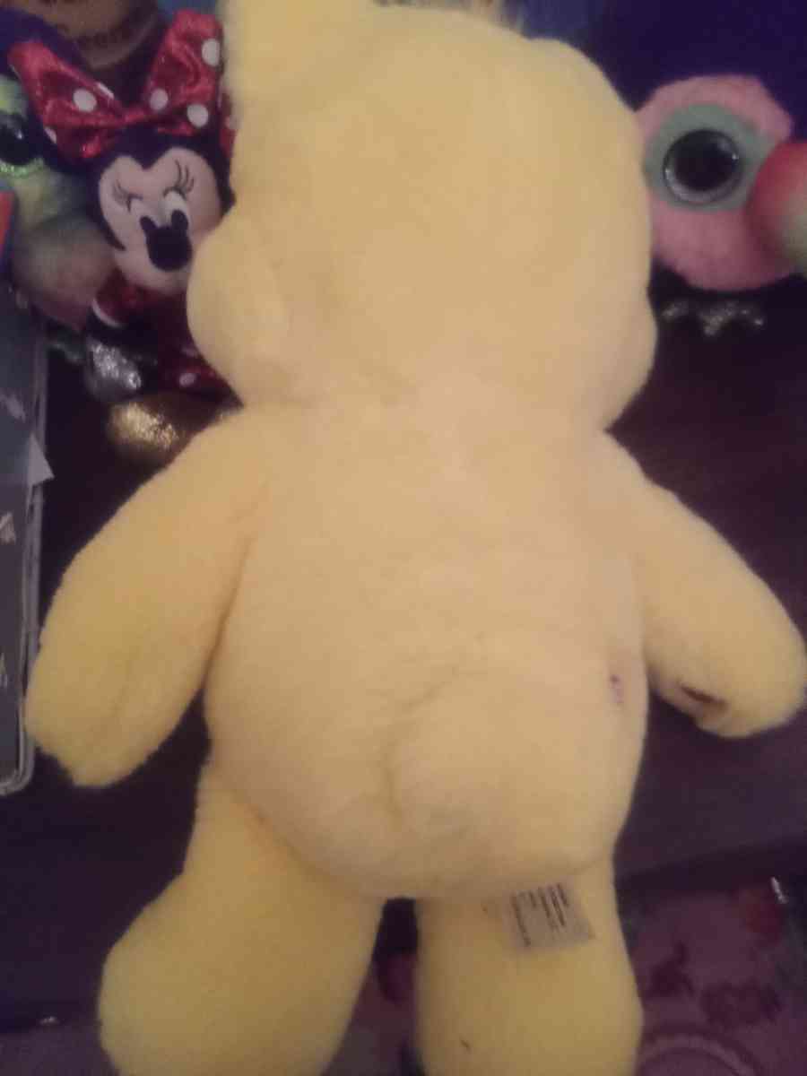 Carebear Sunshine - Ontario, New York