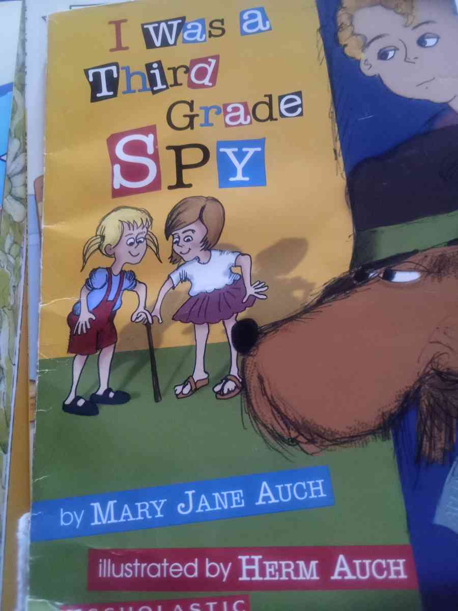 chapter book - Ontario, New York - FleaMarketBay