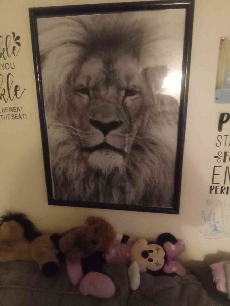 lion picture in frame - Ontario, New York