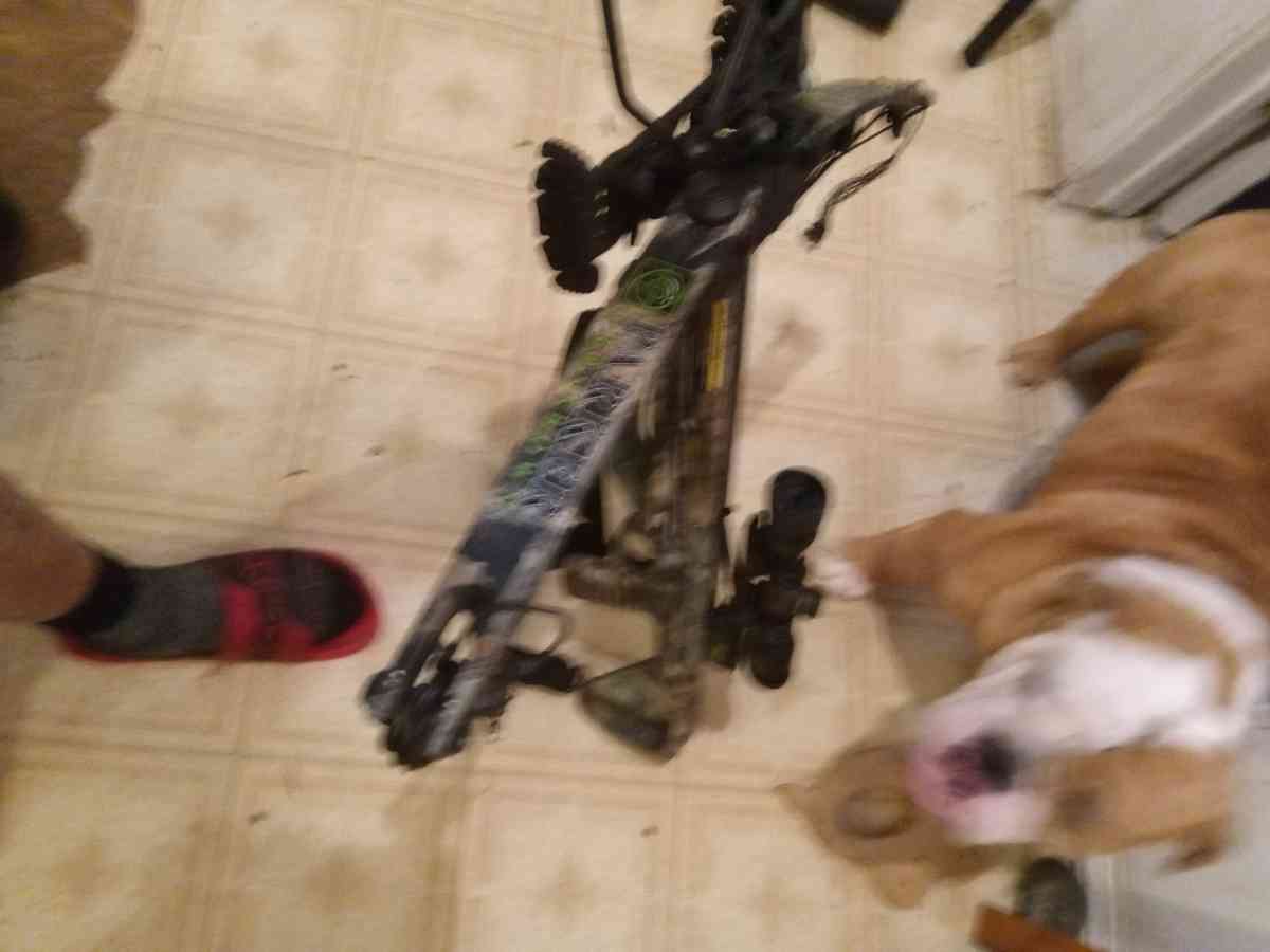 Parker Cross bow - San Antonio, Texas - FleaMarketBay