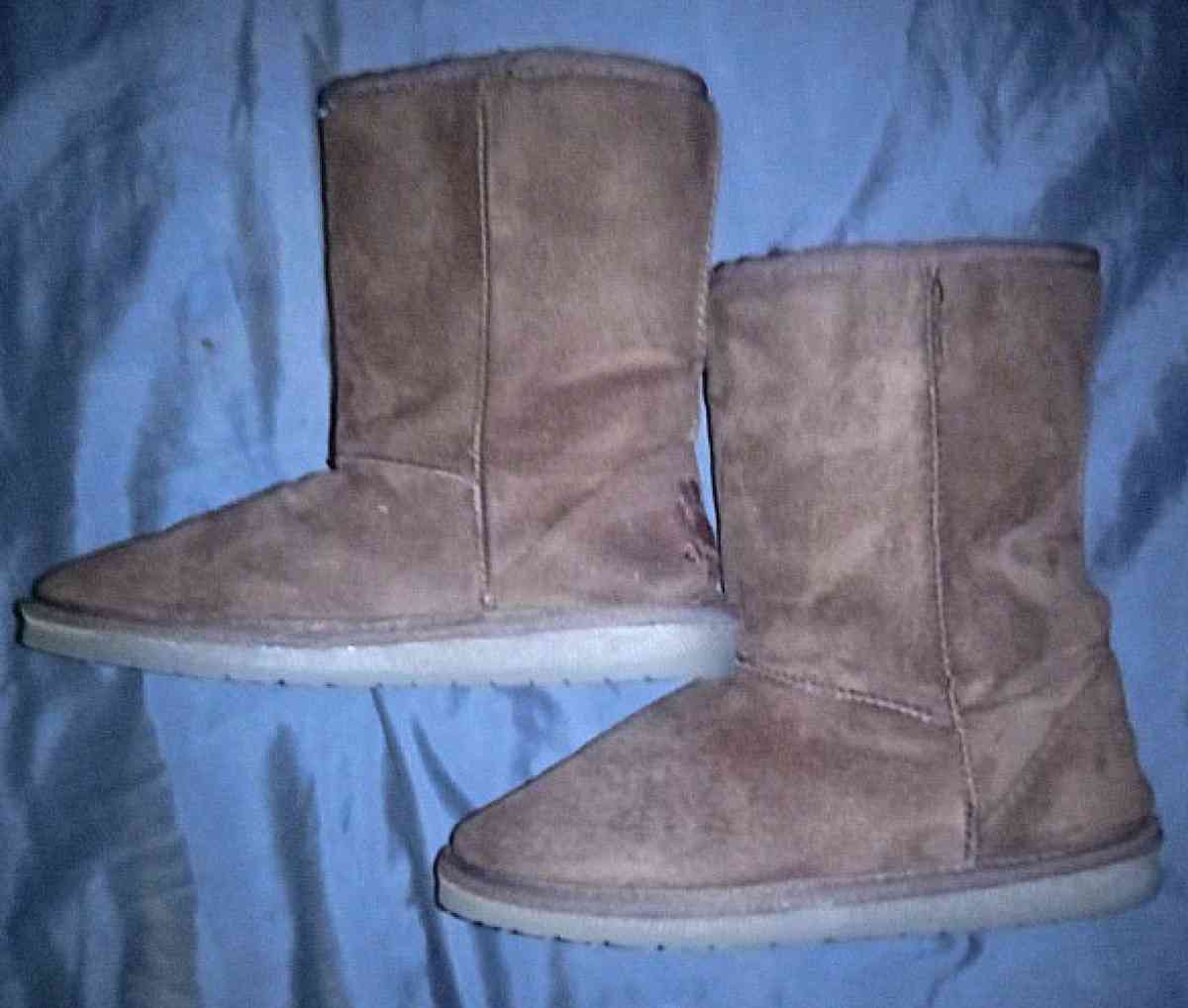 DAWGS - Cleveland, Tennessee