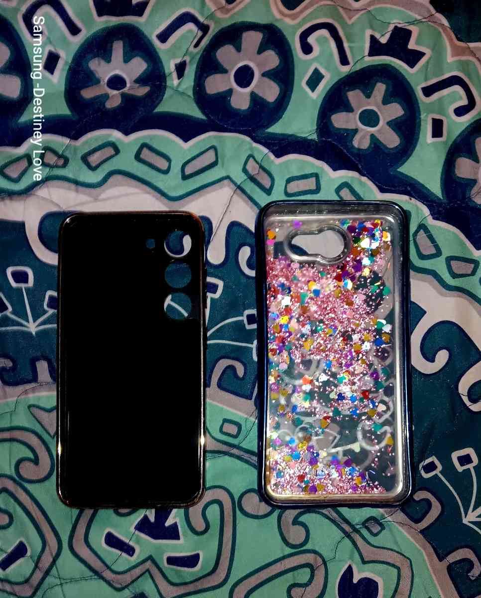 Pricey Cell Phone Cases 4 The Low - Phoenix, Arizona - FleaMarketBay