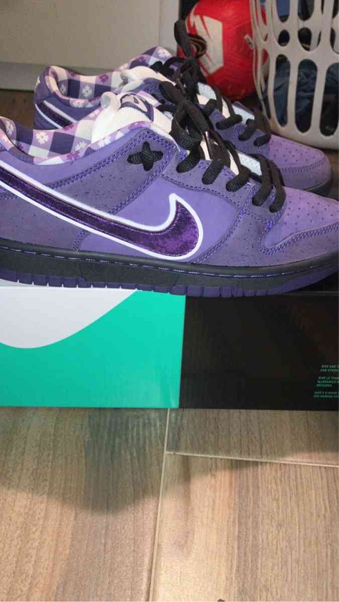 Purple Lobster Sb 7 - Dickinson, Texas