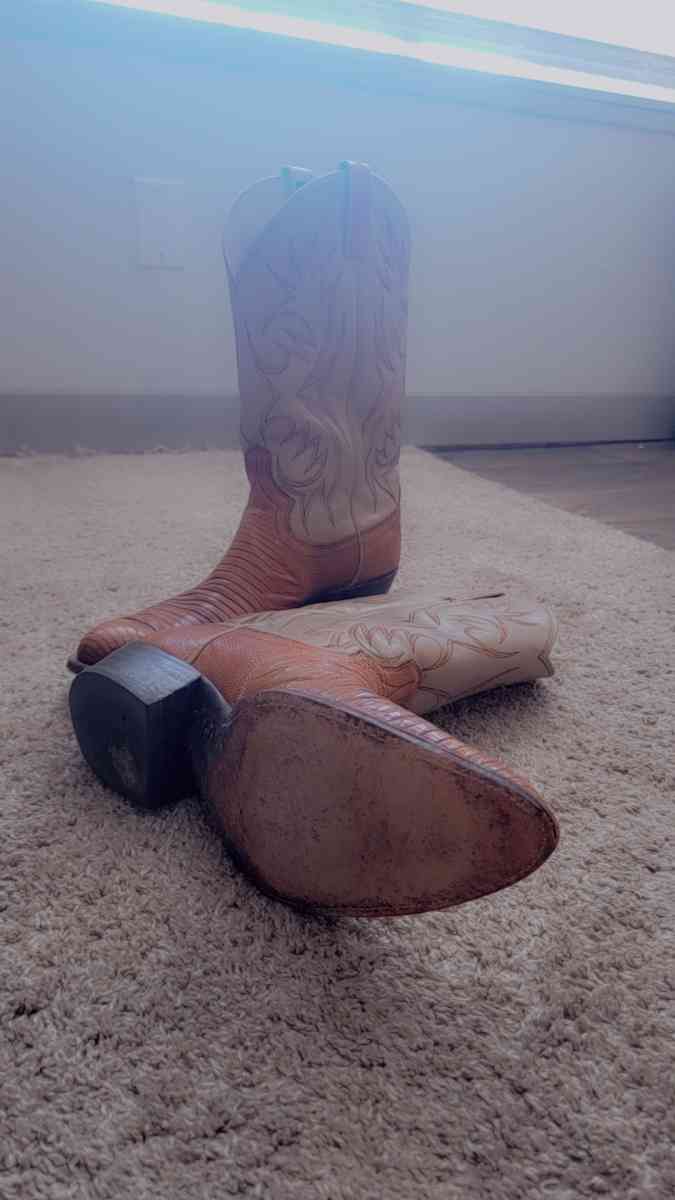 Real Italian Leather and Rattlesnake Boots - Westminster, Colorado - FleaMarketBay