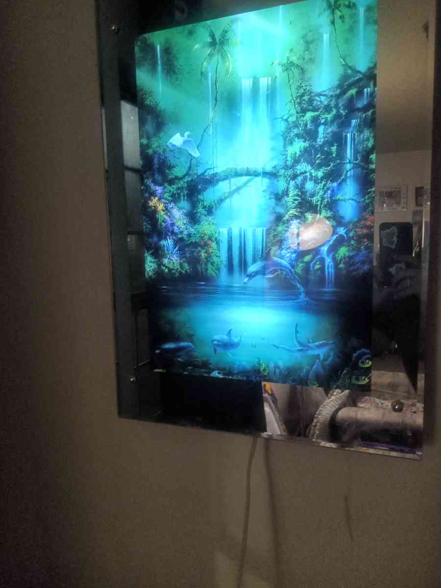 lights and sounds picture - Ontario, New York - FleaMarketBay