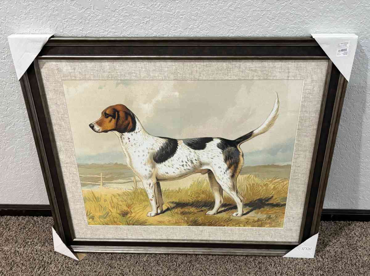 BRAND NEW VERY NICE FRAMED COON DOG ON POINT - Cedar Falls, Iowa