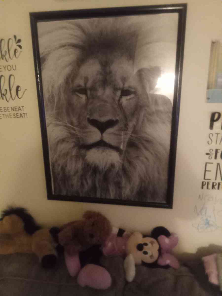 lion picture in frame - Ontario, New York - FleaMarketBay