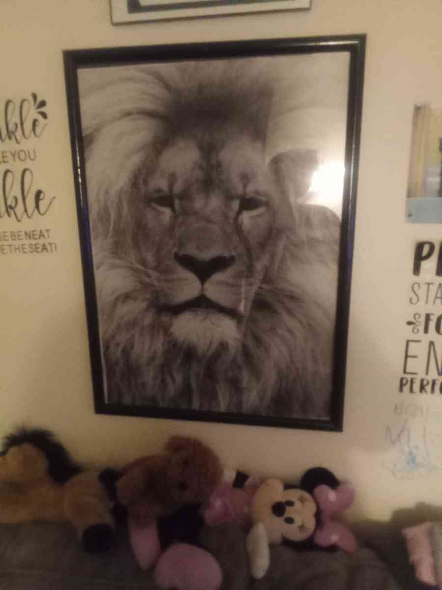 lion picture in frame - Ontario, New York - FleaMarketBay