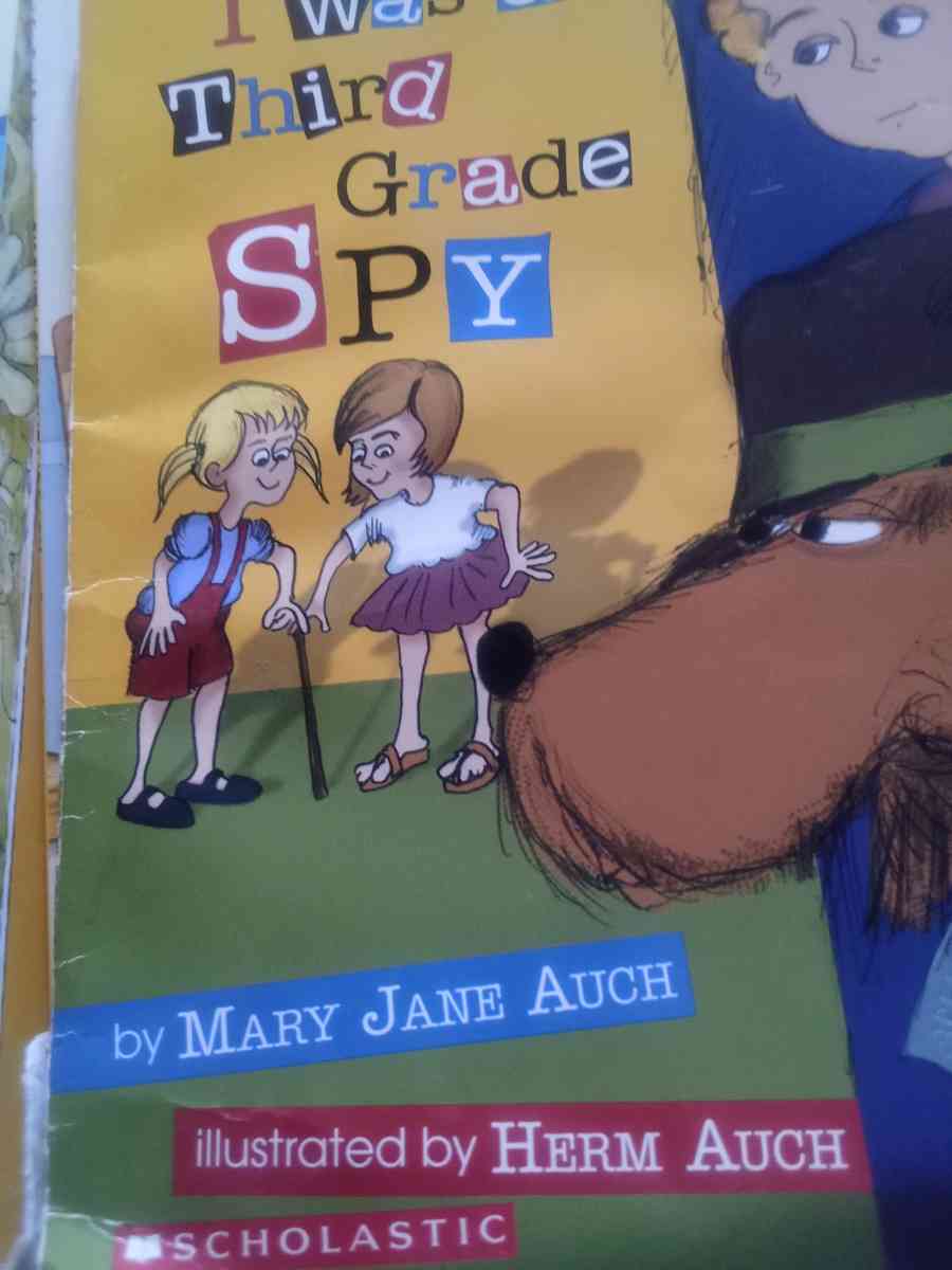 chapter book - Ontario, New York