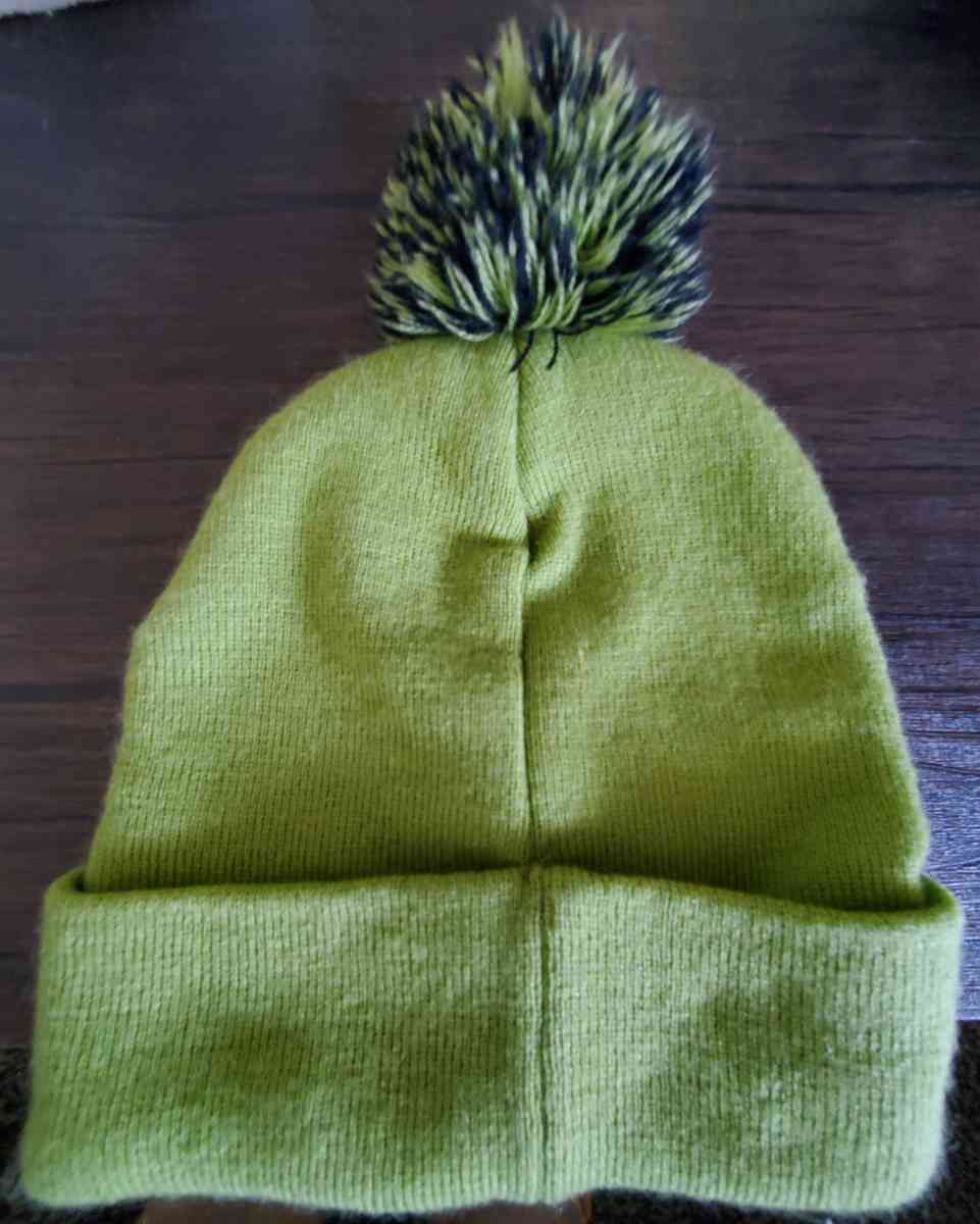 Dr Seuss  The Grinch Who Stole Christmas Beanie wPom - Sebring, Florida - FleaMarketBay