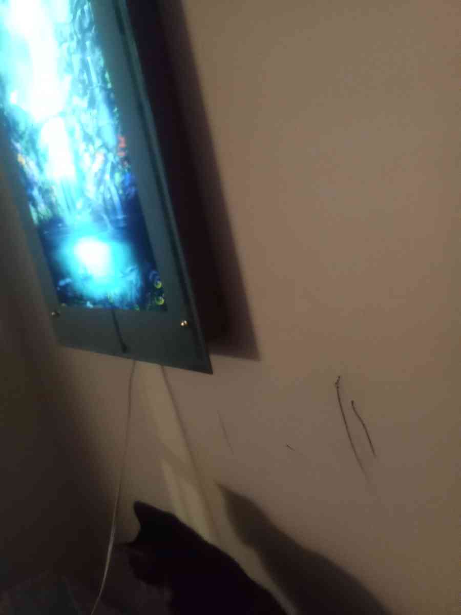 lights and sounds picture - Ontario, New York