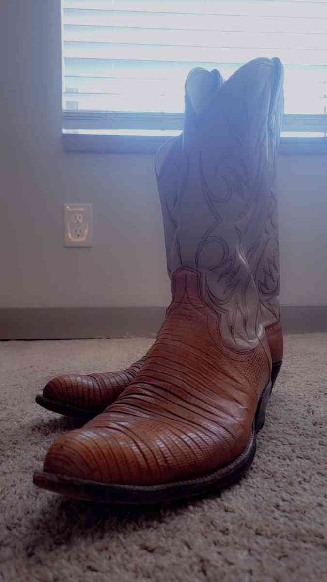 Real Italian Leather and Rattlesnake Boots - Westminster, Colorado