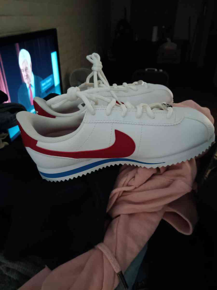 Nike shoe brands new - Phoenix, Arizona