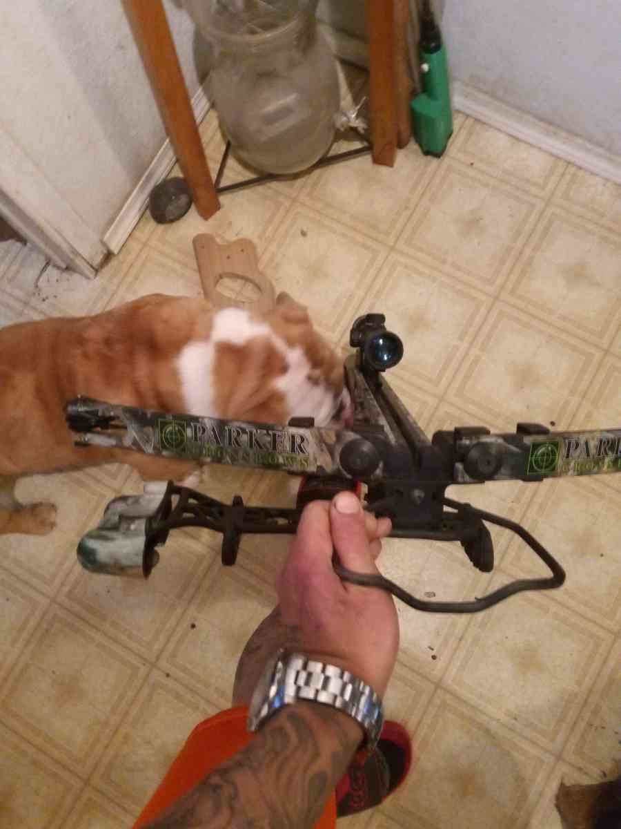Parker Cross bow - San Antonio, Texas