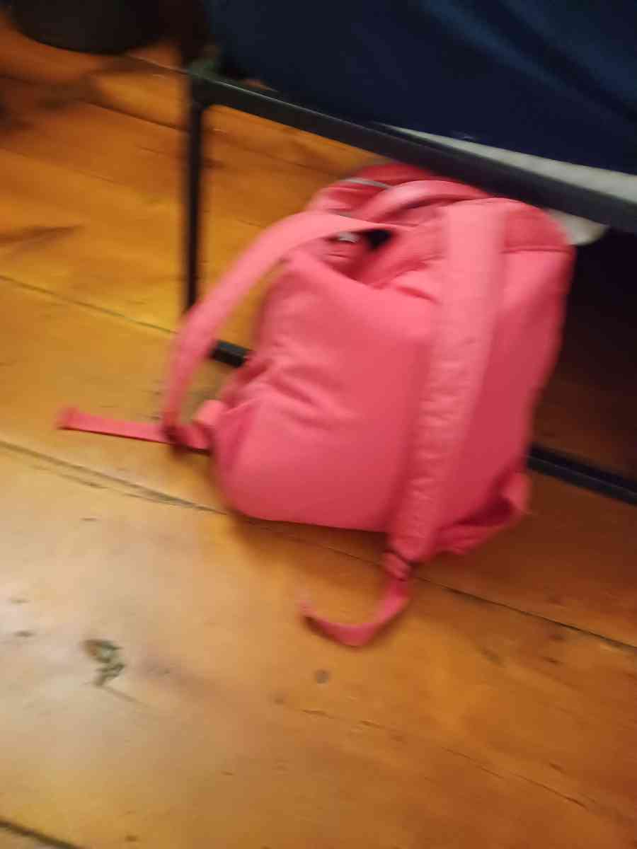 pink backpack - Warriors Mark, Pennsylvania - FleaMarketBay
