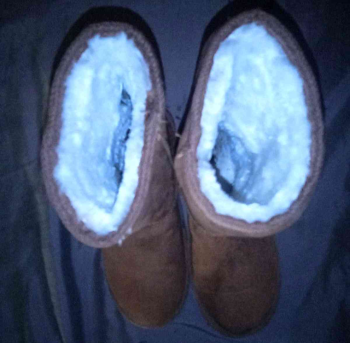 DAWGS - Cleveland, Tennessee - FleaMarketBay