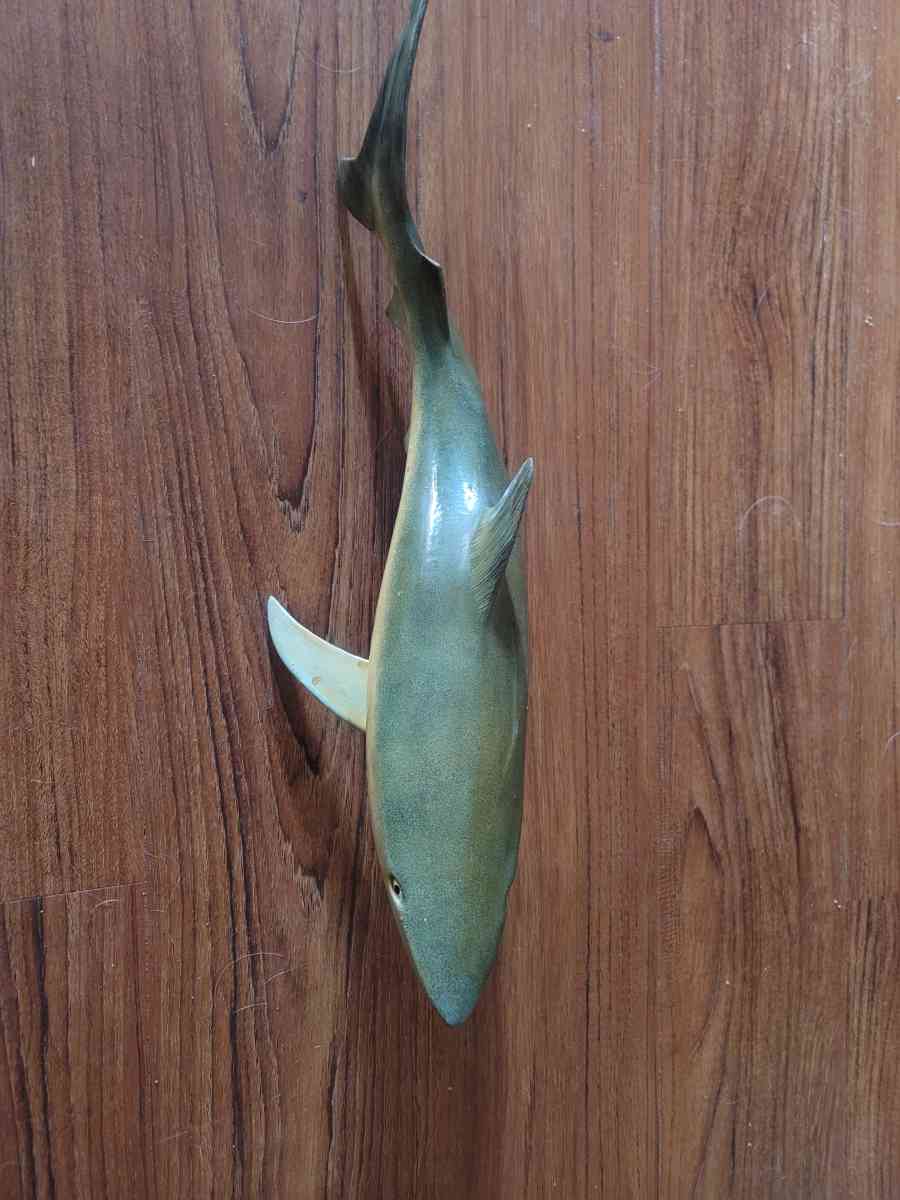 Plastic shark - Gulf Shores, Alabama - FleaMarketBay