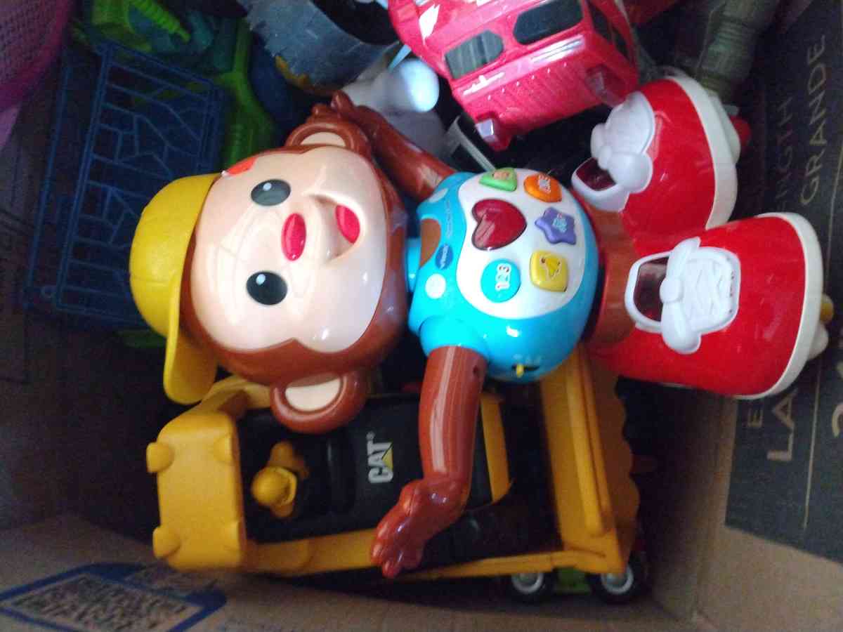 monkey talk - Elgin, Illinois