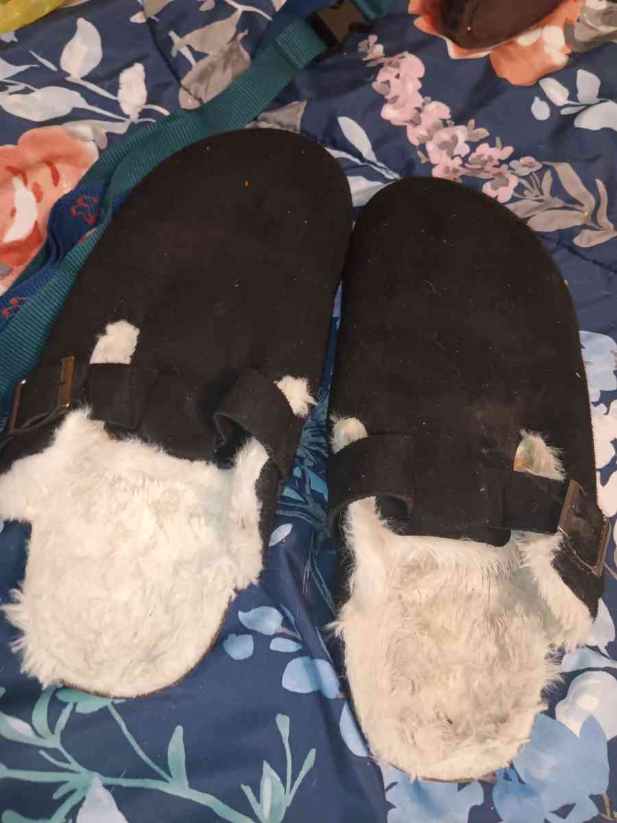 black sidles - Tyrone, Pennsylvania