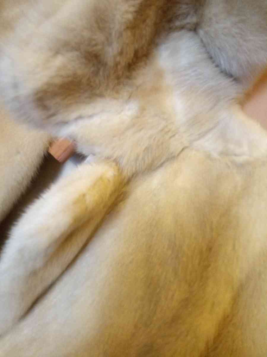 Mink vintage short coat - New York, New York - FleaMarketBay