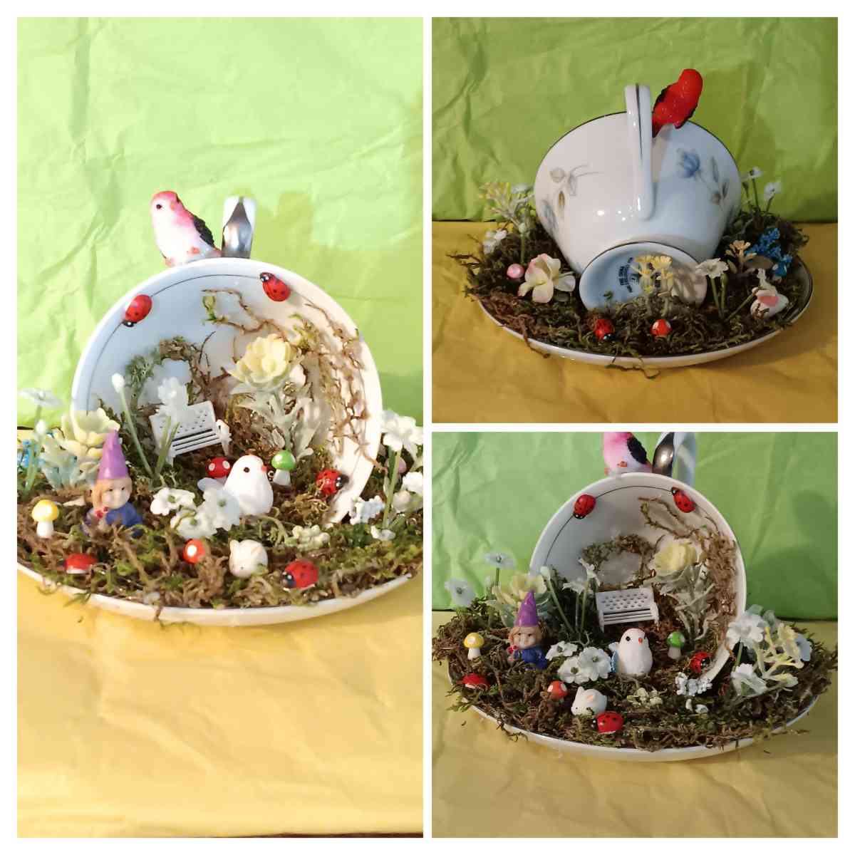 little teacup garden - El Mirage, Arizona