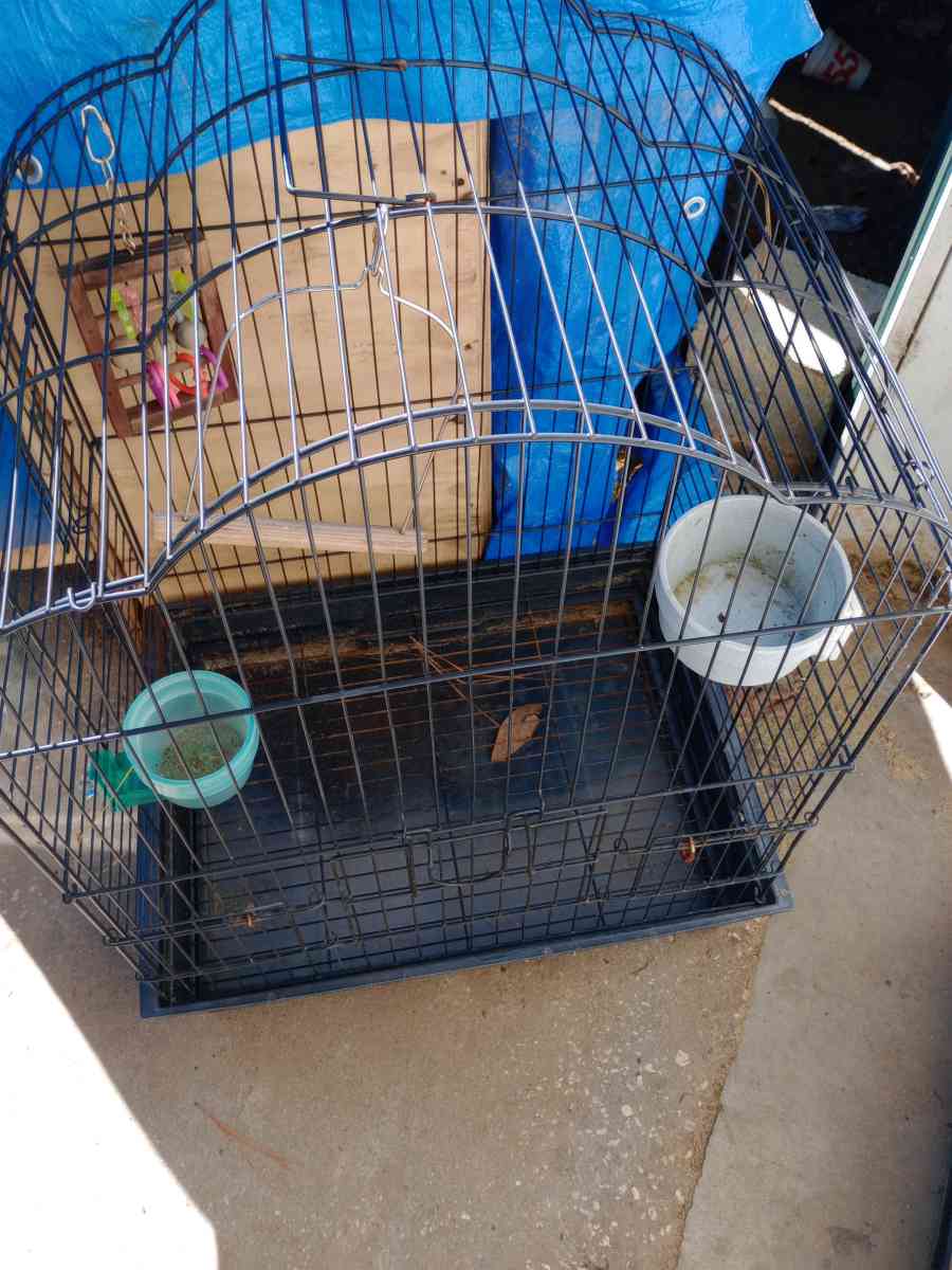 Bird Cage - Conway, South Carolina