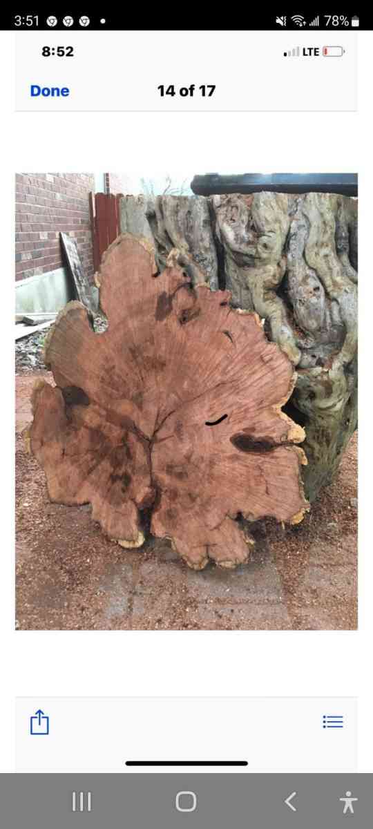 mesquite slabs of wood  7 ft tall  by 38 to 40 inches wide - San Antonio, Texas - FleaMarketBay