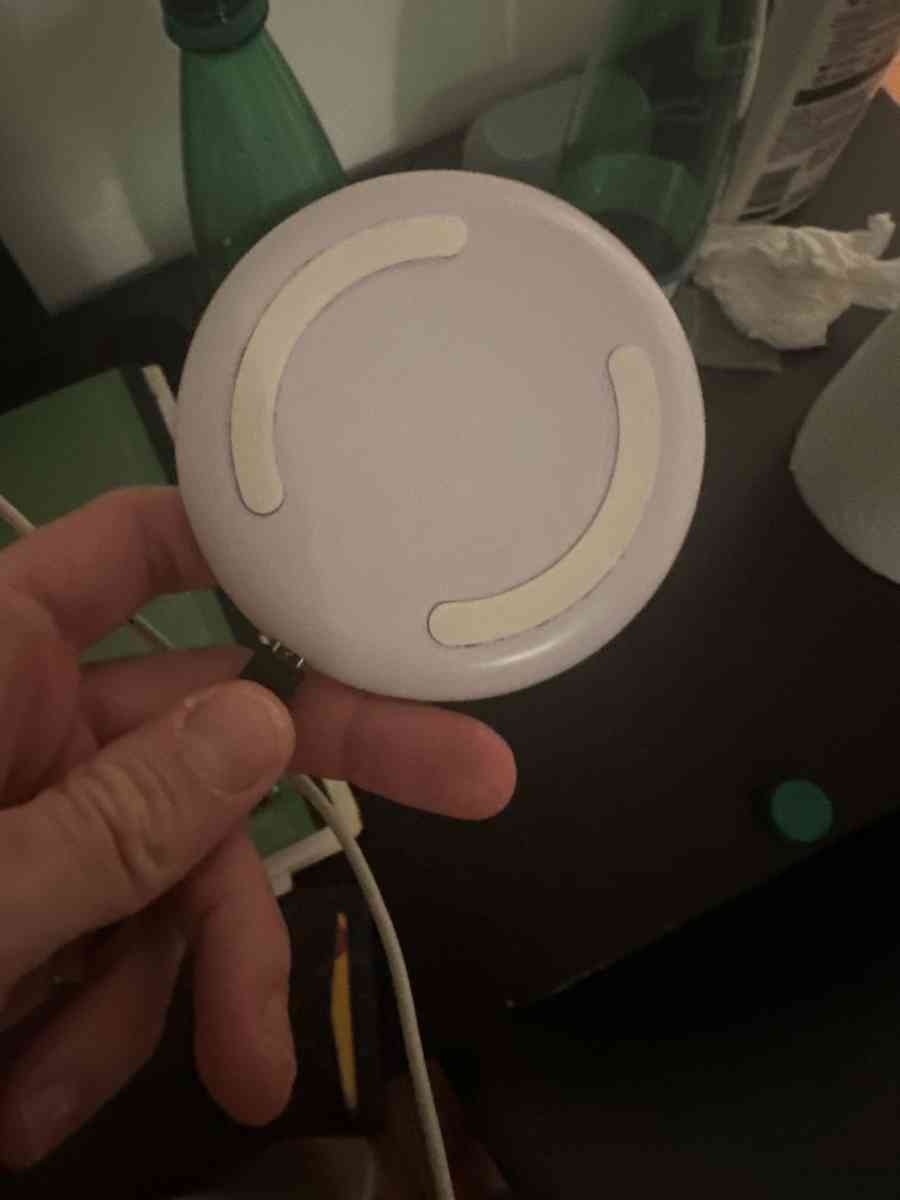 Dog walker - New City, New York