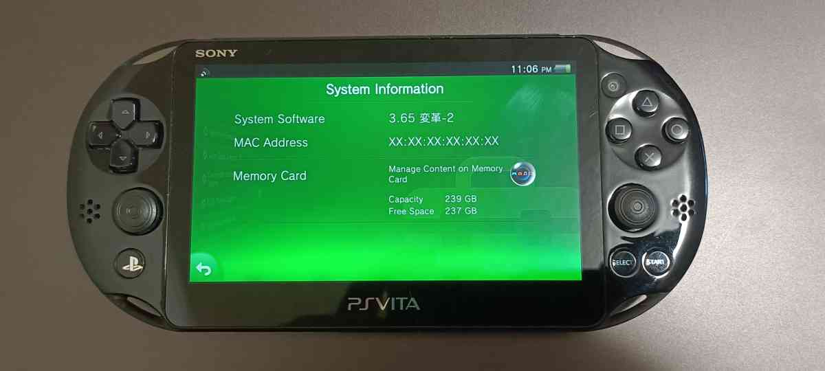 Fully Loaded PS Vita  256GB SD Card SD2Vita Adapter OEM Batt - Johnson City, Tennessee - FleaMarketBay