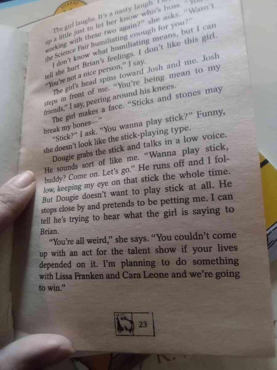 chapter book - Ontario, New York - FleaMarketBay