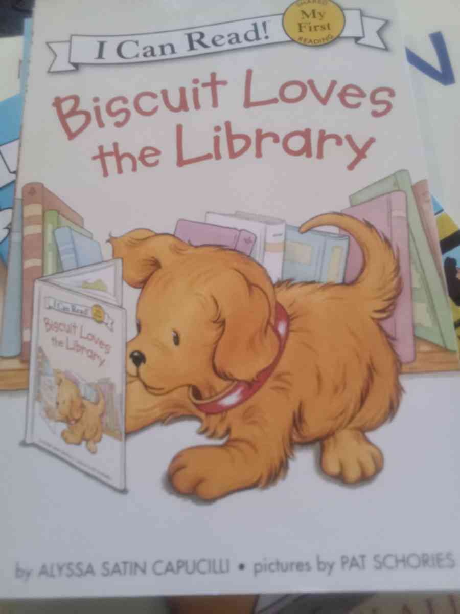 book my first book - Ontario, New York - FleaMarketBay