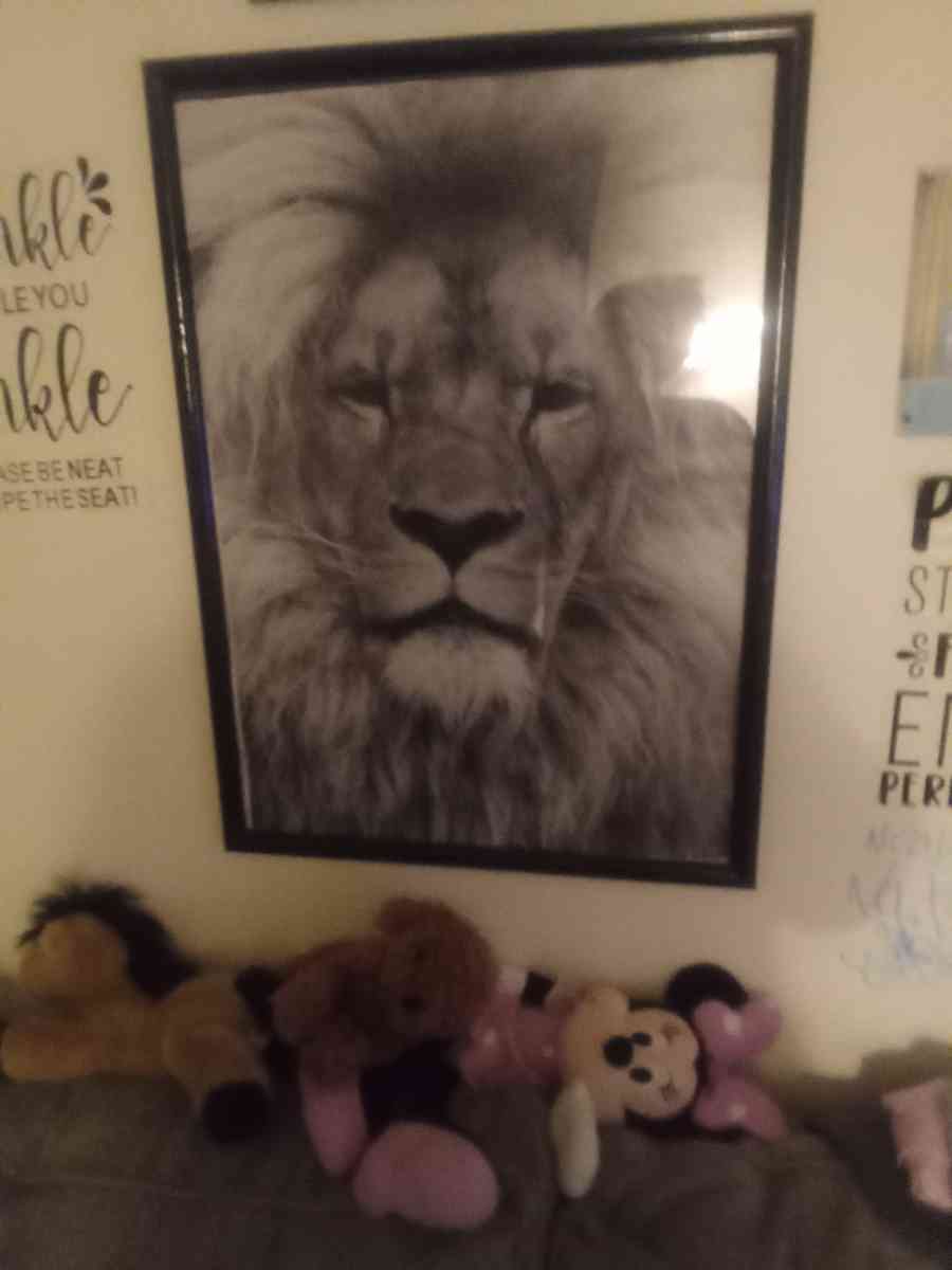 lion picture in frame - Ontario, New York - FleaMarketBay