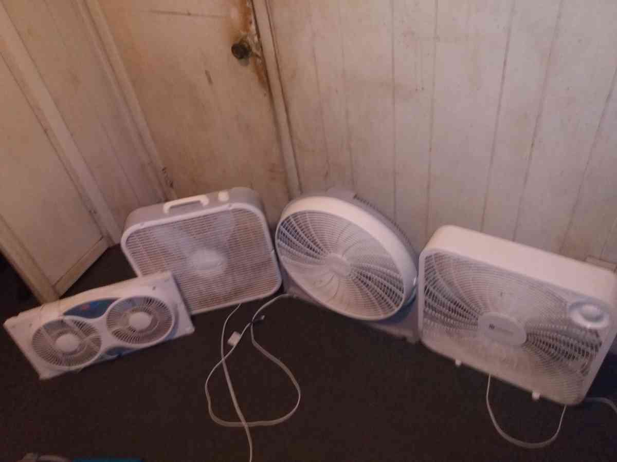 4 fans - Barnegat, New Jersey