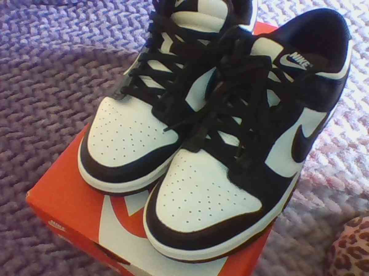 Black and White Panda dunks - Sacramento, California