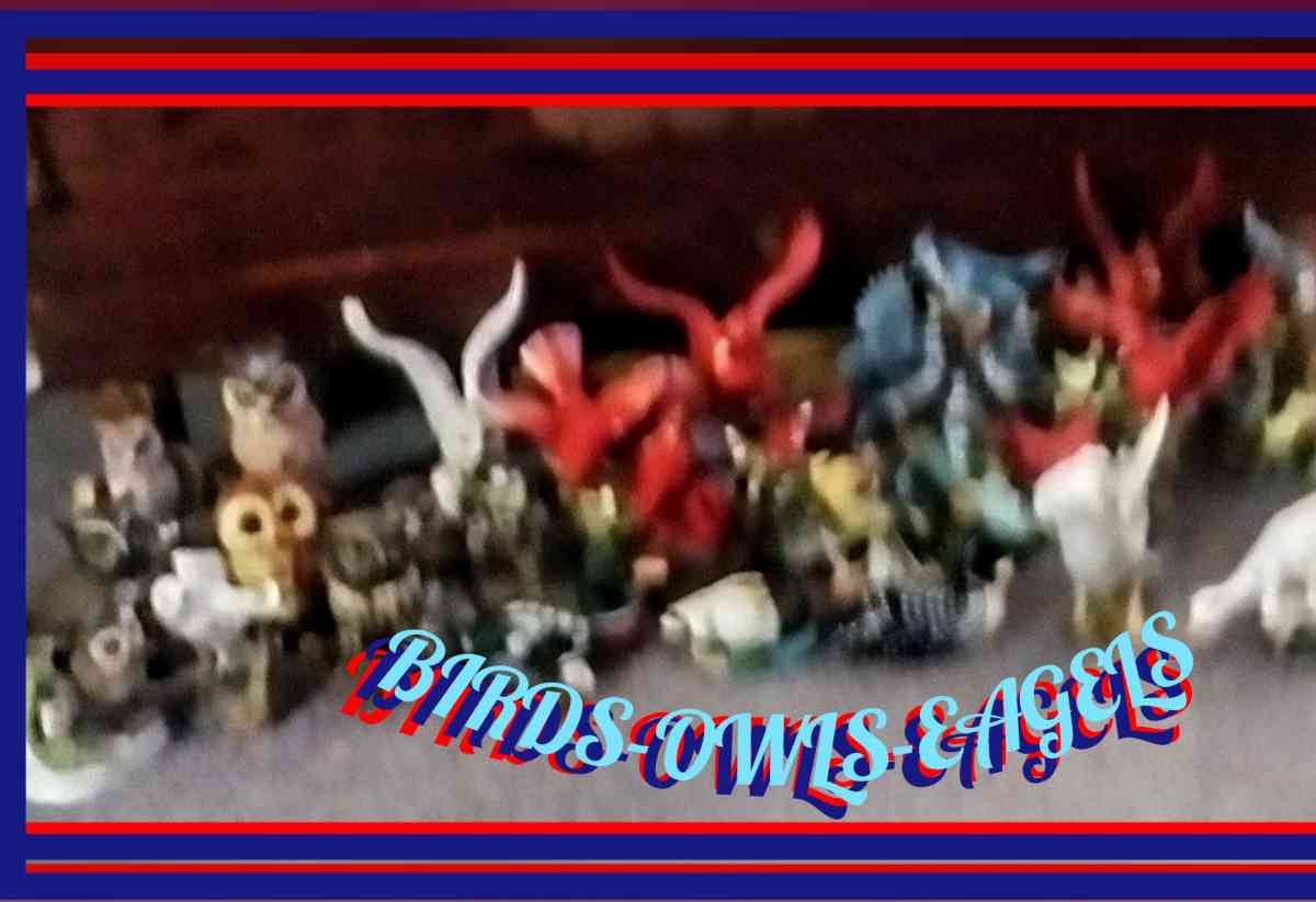 All kinds of BirdsOwls  Eagles - Des Moines, Iowa