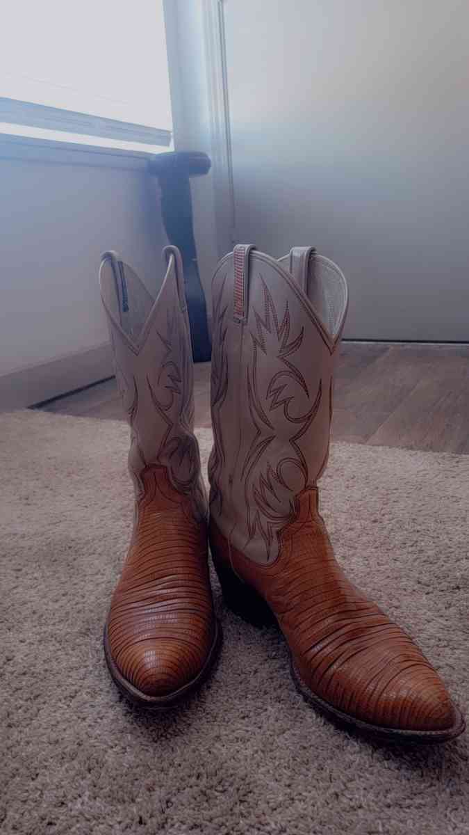 Real Italian Leather and Rattlesnake Boots - Westminster, Colorado - FleaMarketBay