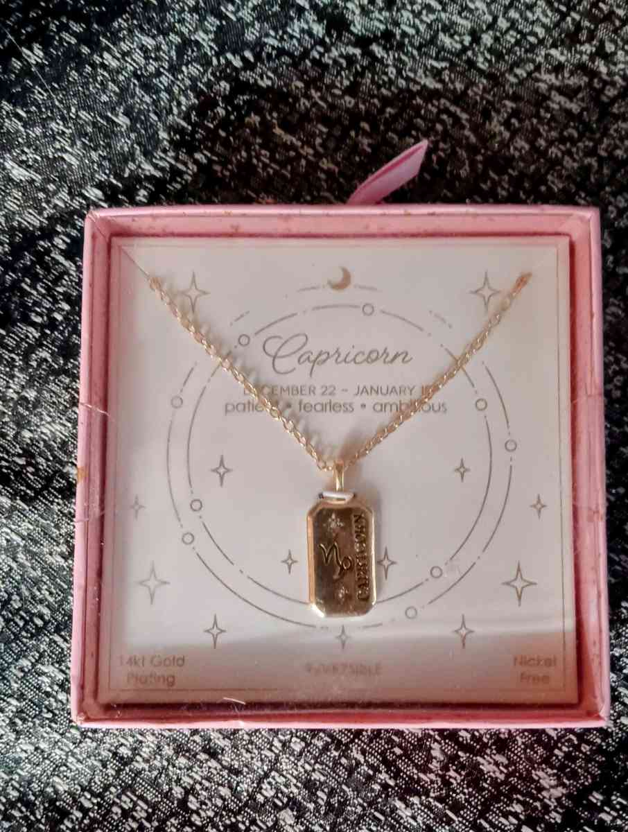 14kt Gold Plated Zodiac Necklace For Capricorns - Phoenix, Arizona - FleaMarketBay