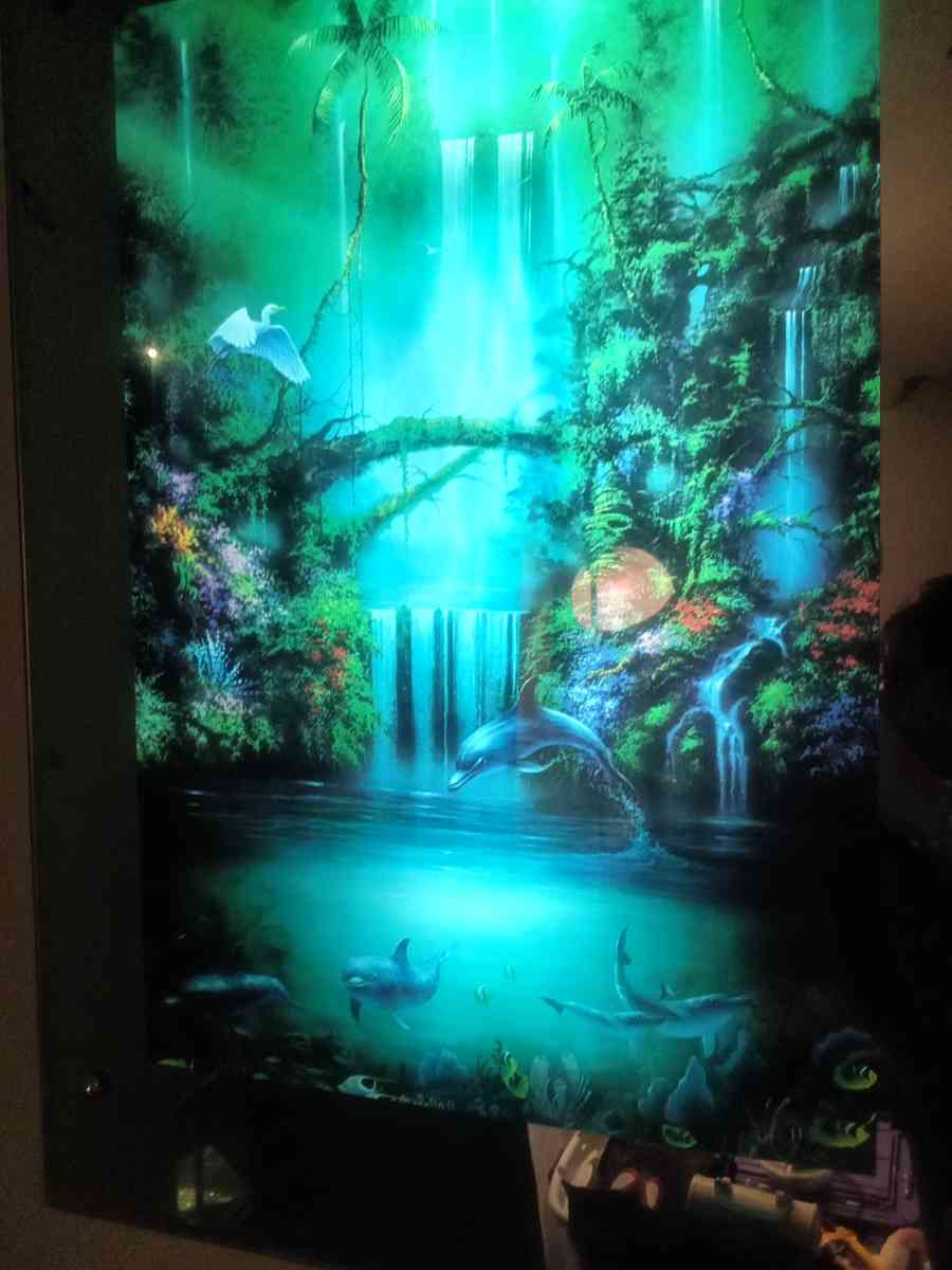 lights and sounds picture - Ontario, New York - FleaMarketBay