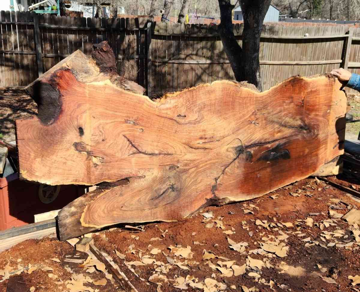 mesquite slabs of wood  7 ft tall  by 38 to 40 inches wide - San Antonio, Texas
