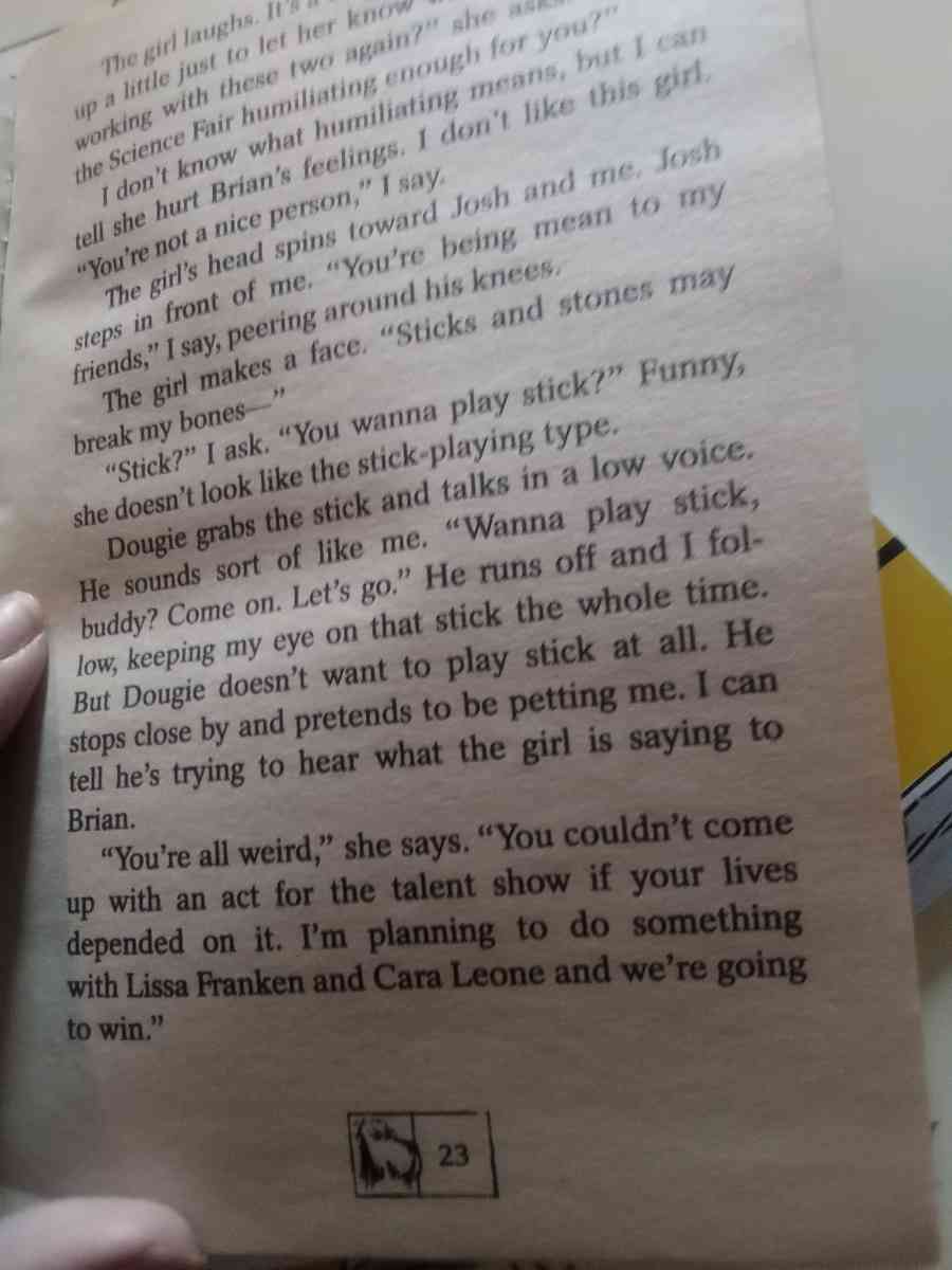 chapter book - Ontario, New York - FleaMarketBay